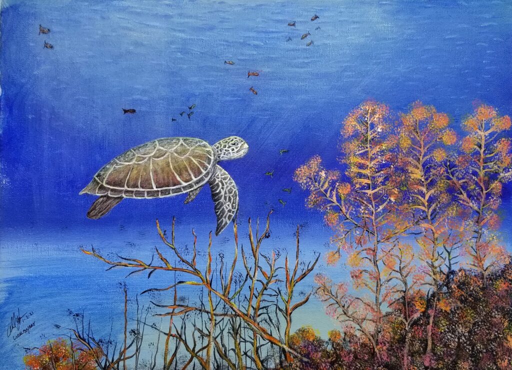 Sea Turtle 1