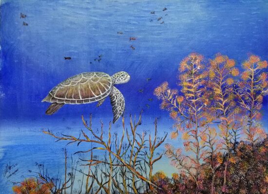 Sea Turtle 1