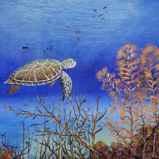Sea Turtle 1