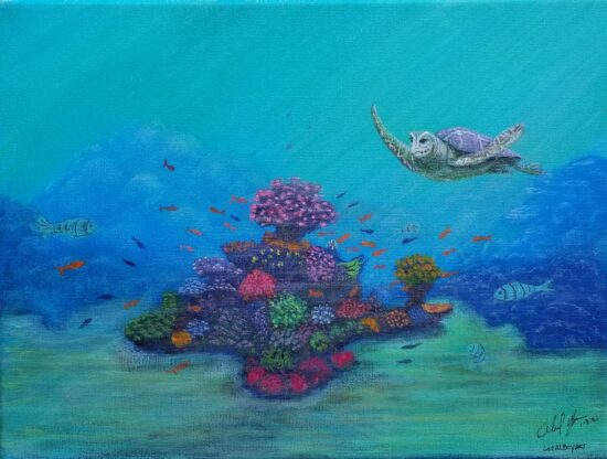 Sea Turtle 2