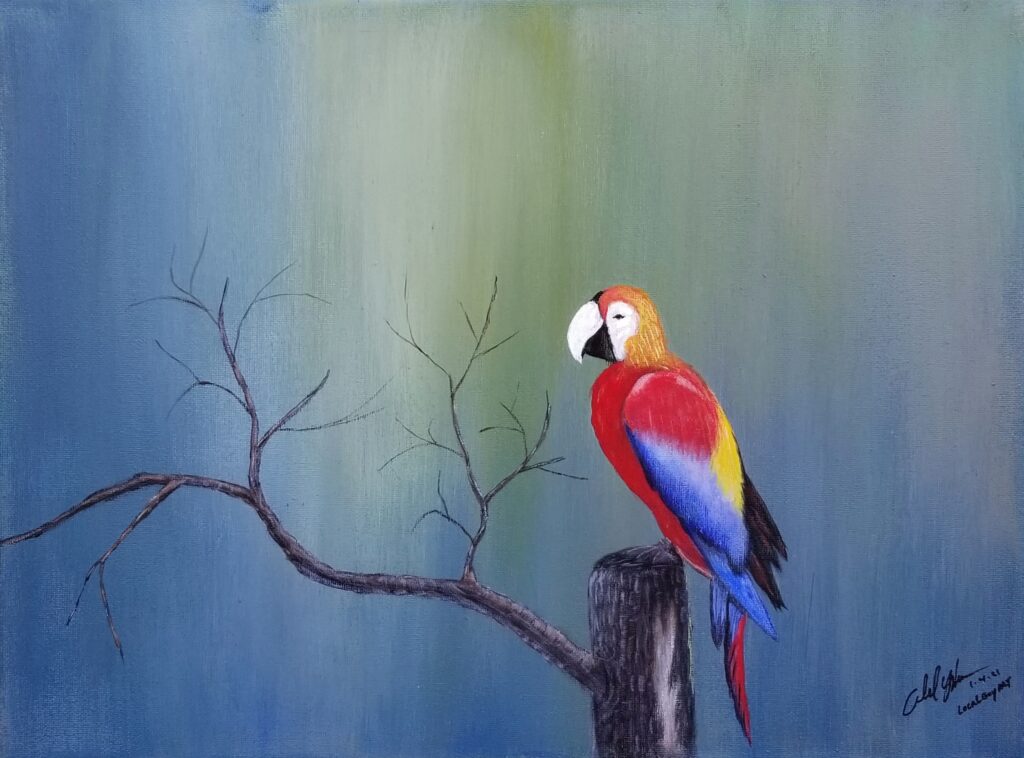 Parrot