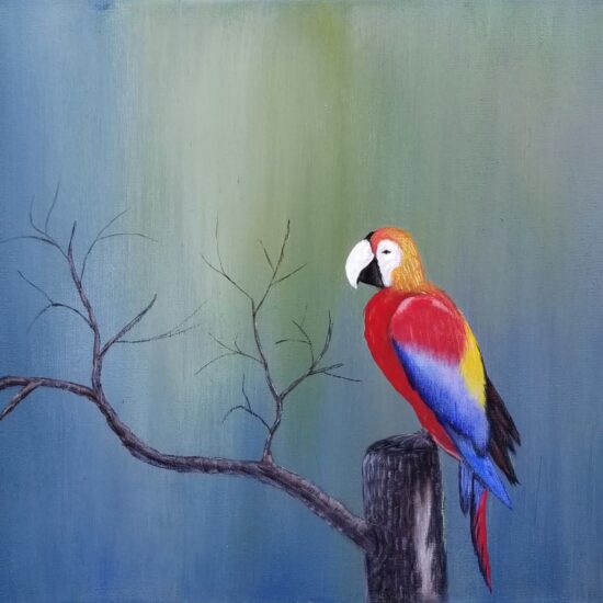 Parrot