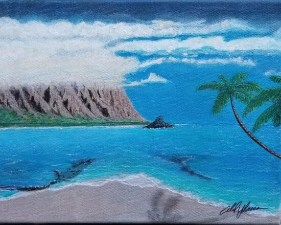 Chinaman's Hat
