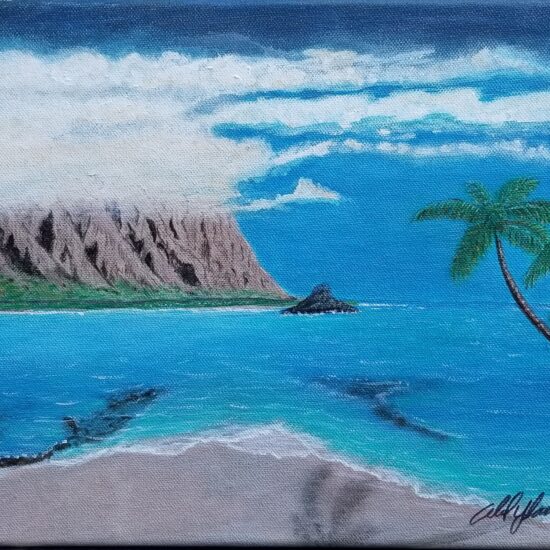 Chinaman's Hat